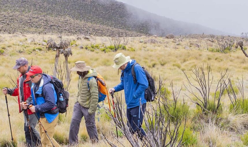 Kilimanjaro Machame Route 6 Days