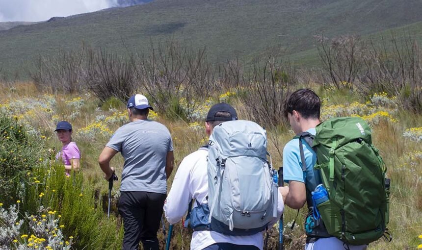 Kilimanjaro Marangu Route 6 Days